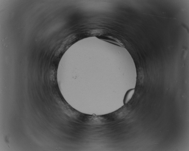 X0000103290379200809261255