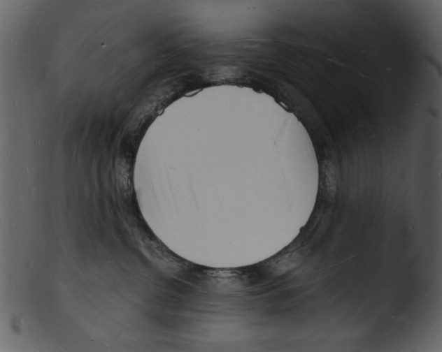 X0000103290380200809261255