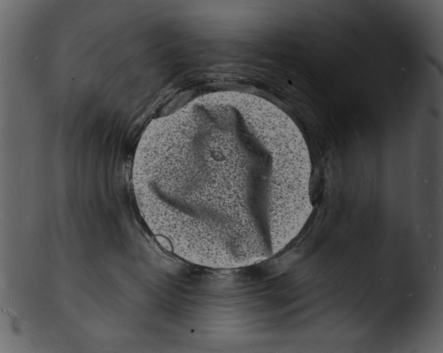 X0000103290382200809261255