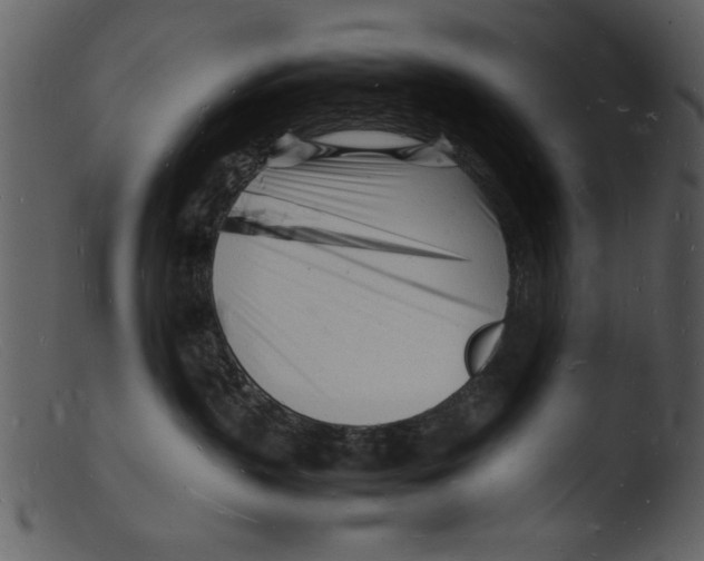 X0000103290383200809261255