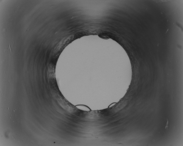 X0000103290384200809261255