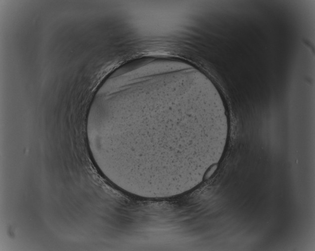 X0000103290385200809261254