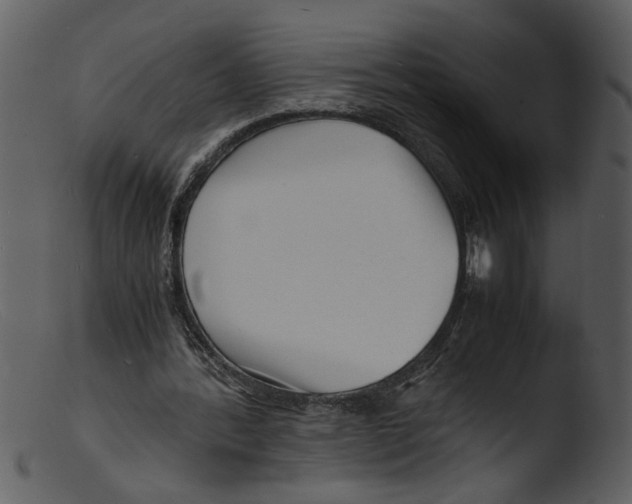 X0000103290388200809261254