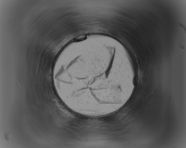 X0000103290389200809261254