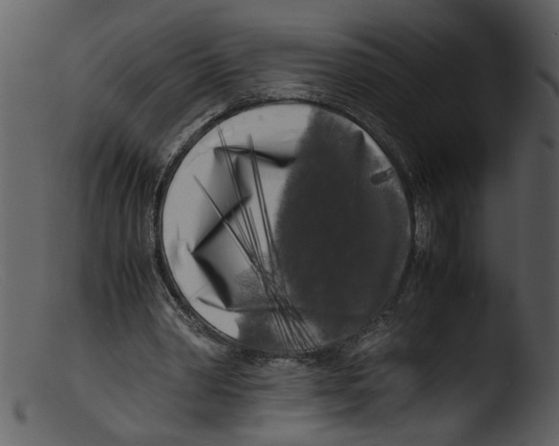 X0000103290390200809261254
