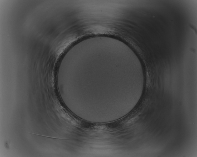 X0000103290391200809261254