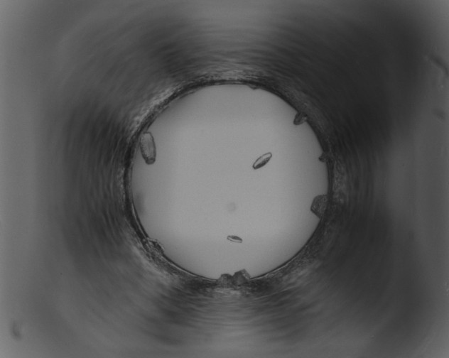 X0000103290394200809261254
