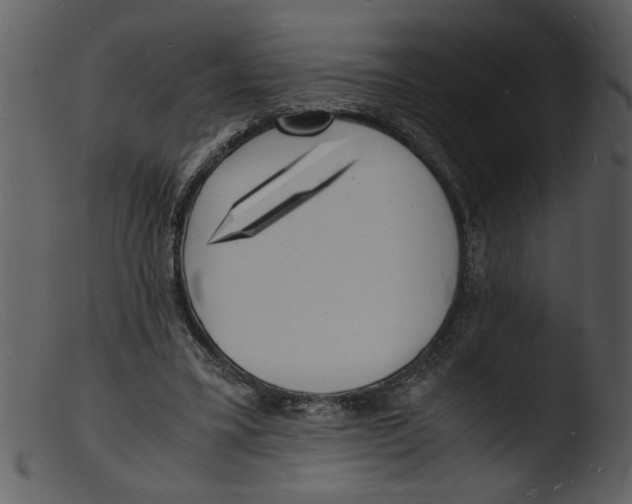 X0000103290395200809261254