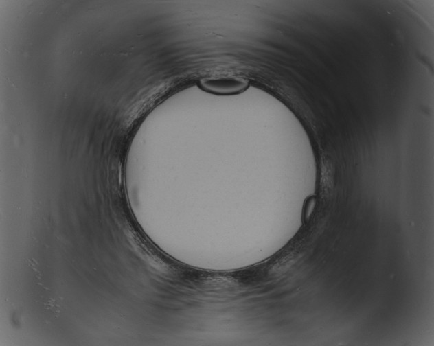X0000103290397200809261254