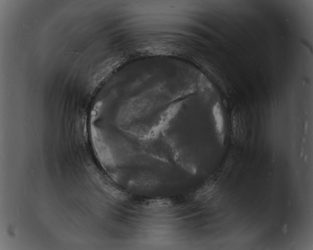 X0000103290398200809261254