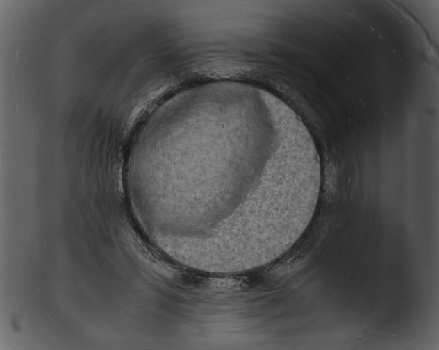X0000103290399200809261254