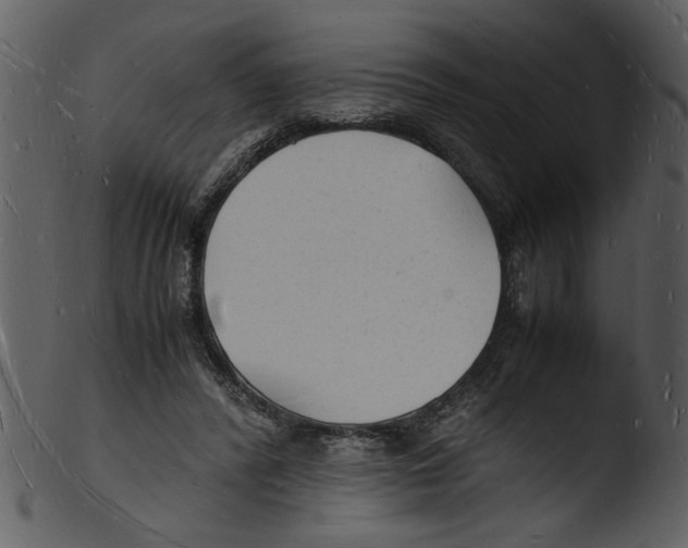 X0000103290400200809261254