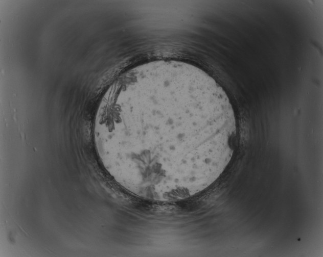 X0000103290401200809261254
