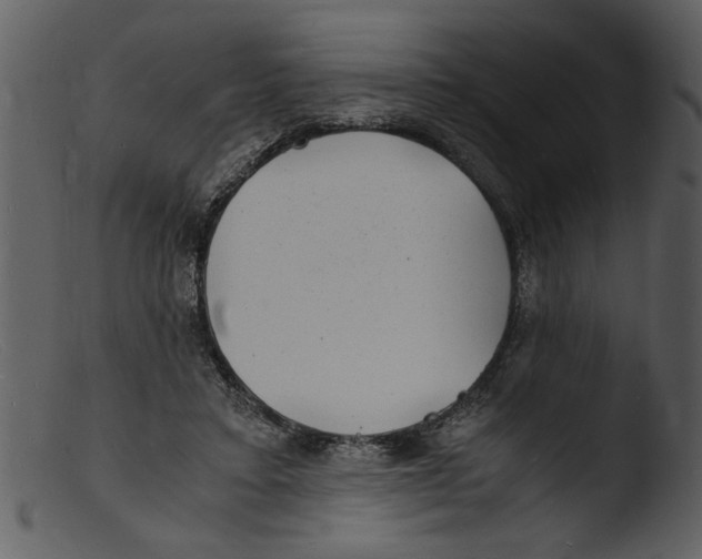 X0000103290403200809261254