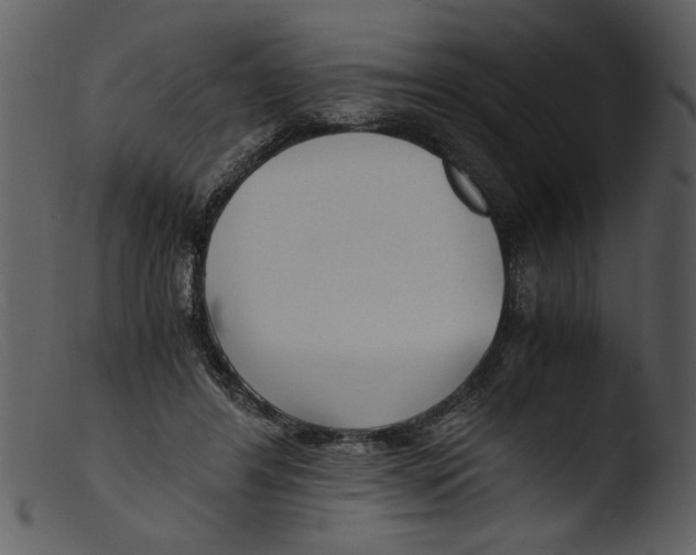 X0000103290404200809261254