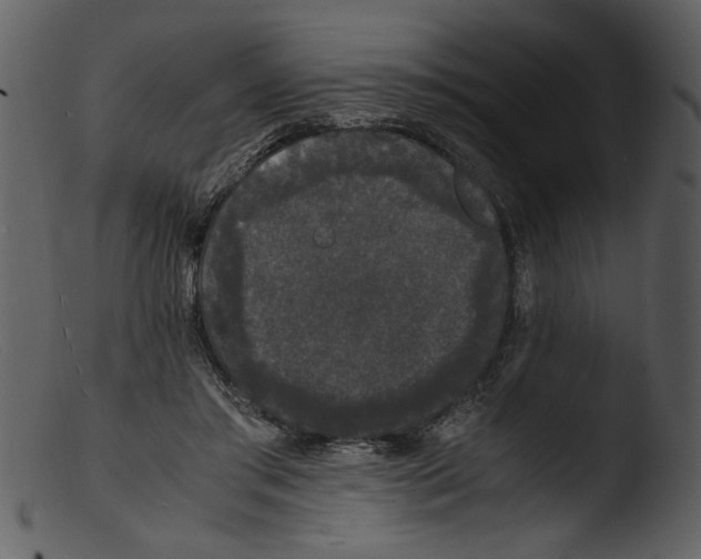 X0000103290405200809261254