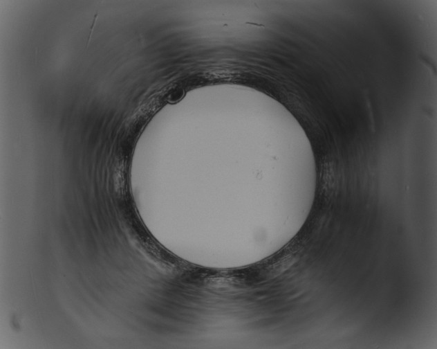 X0000103290408200809261254