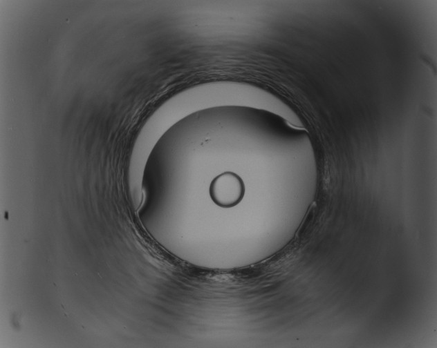 X0000103290409200809261254