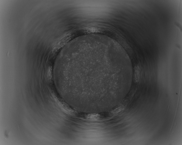 X0000103290410200809261254