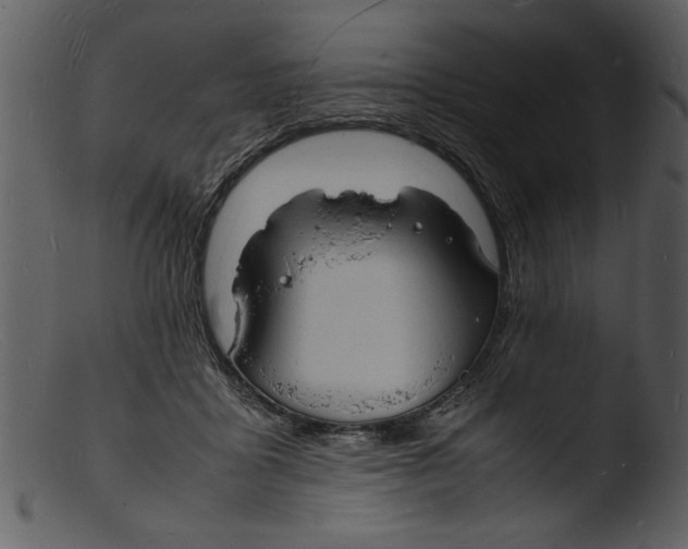 X0000103290411200809261254
