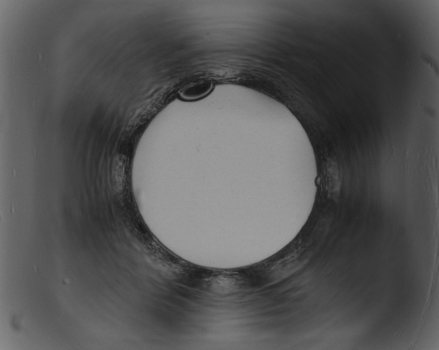 X0000103290412200809261254