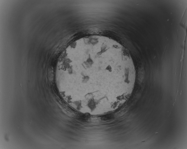 X0000103290413200809261254