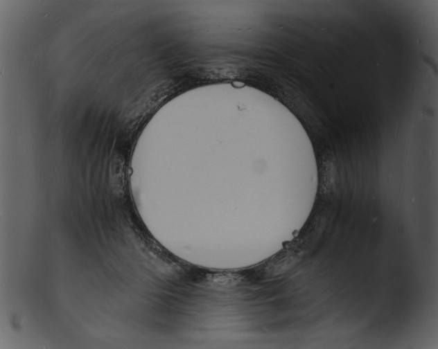 X0000103290414200809261254