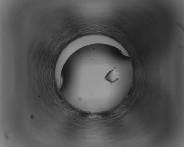 X0000103290415200809261254