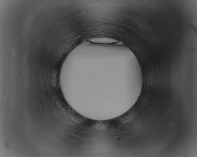 X0000103290416200809261254