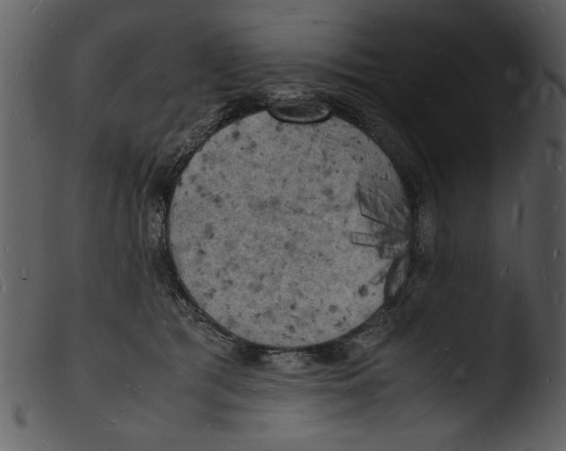 X0000103290417200809261254