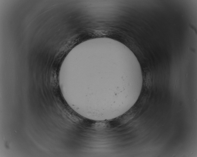 X0000103290418200809261254