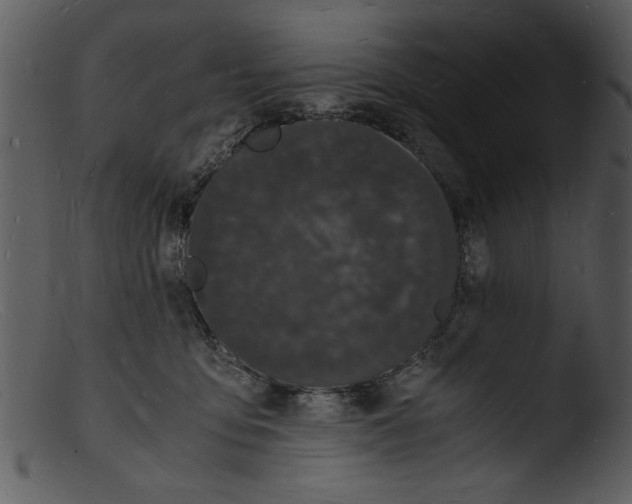 X0000103290419200809261254
