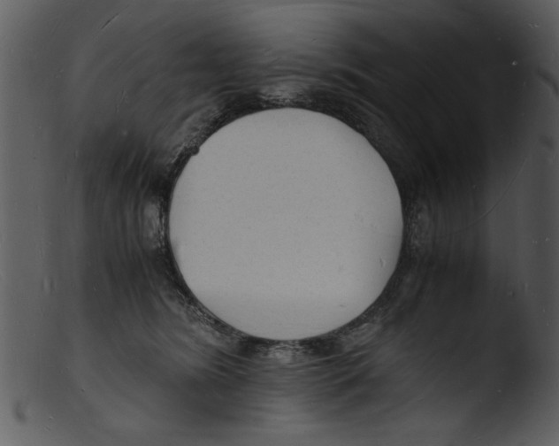 X0000103290420200809261254
