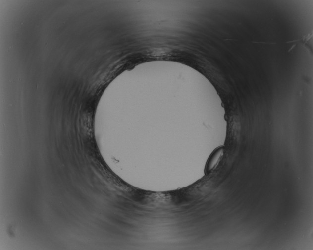 X0000103290421200809261254