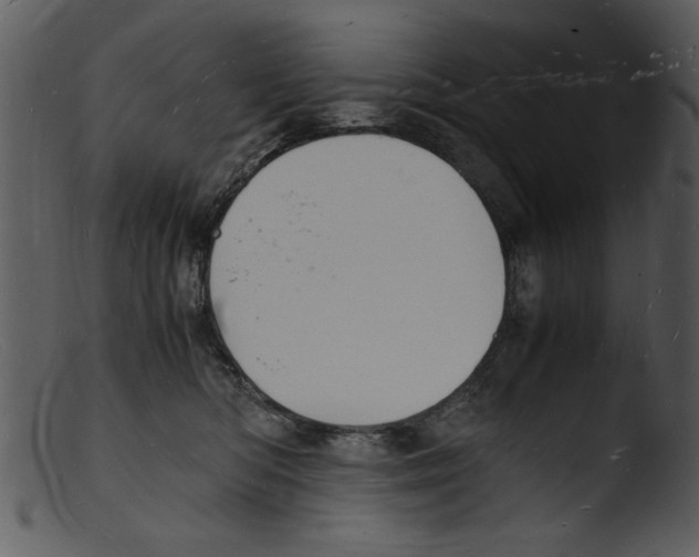 X0000103290422200809261254