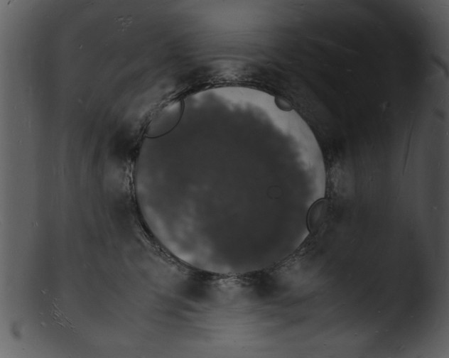 X0000103290423200809261254