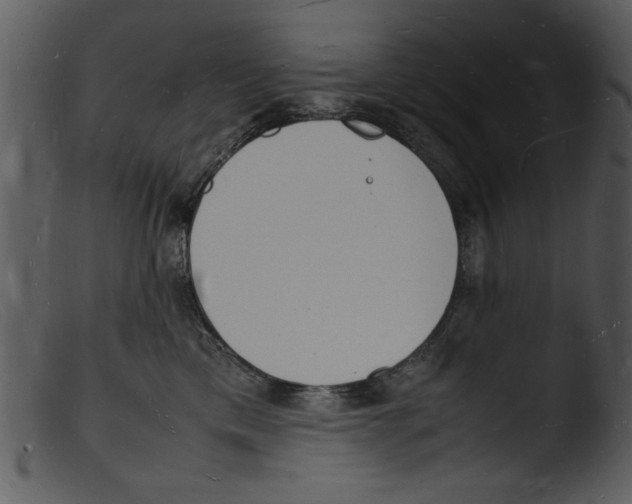 X0000103290425200809261254