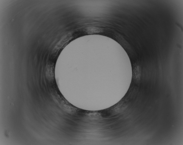 X0000103290426200809261254