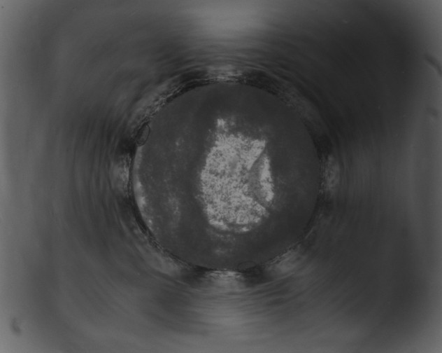 X0000103290427200809261254