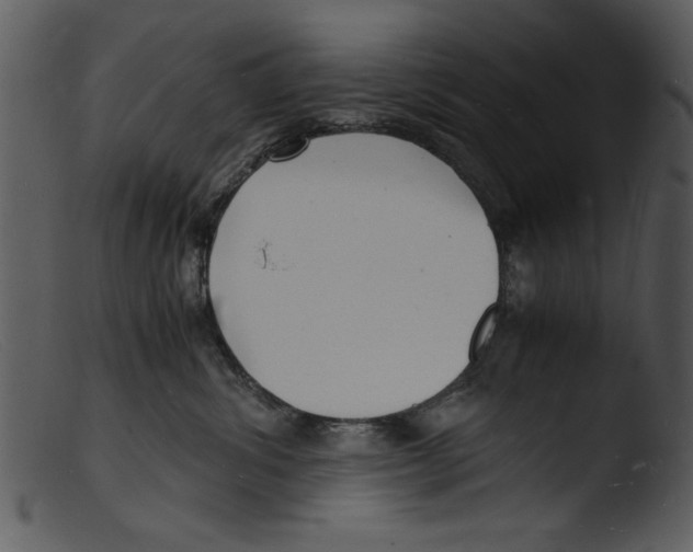 X0000103290428200809261254