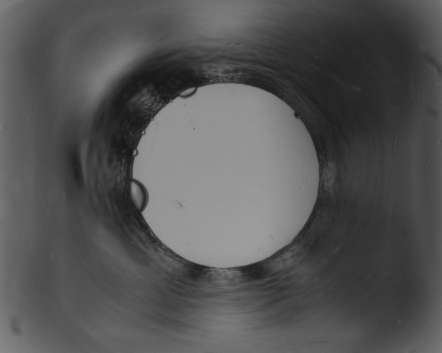 X0000103290429200809261254