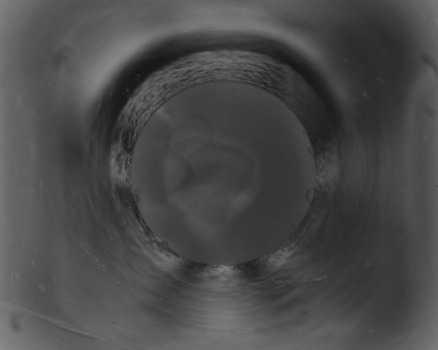 X0000103290431200809261254