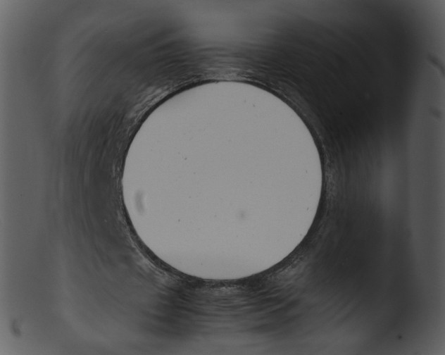X0000103290433200809261253