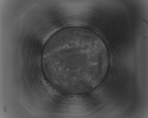X0000103290434200809261253