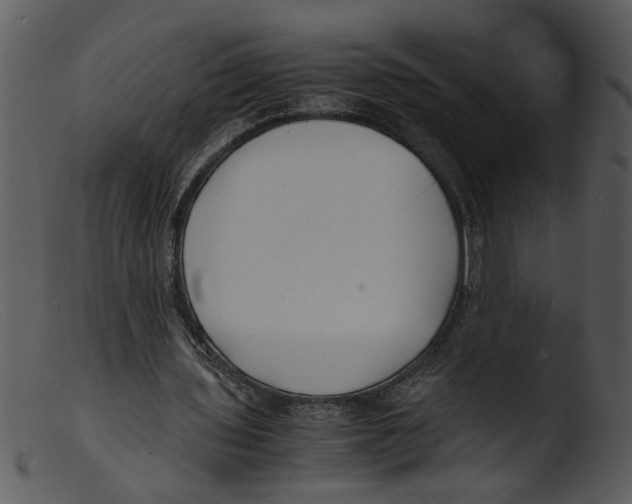 X0000103290435200809261253