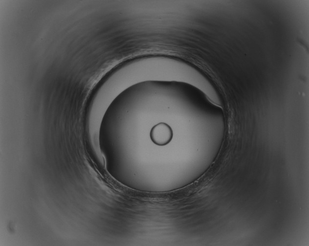 X0000103290436200809261253