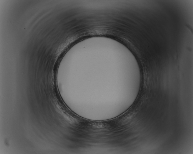 X0000103290439200809261253