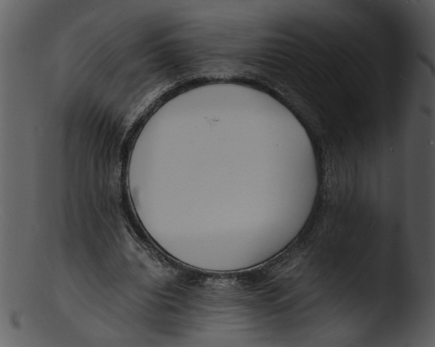 X0000103290440200809261253