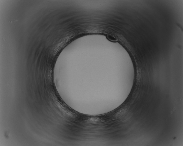 X0000103290441200809261253