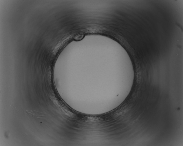 X0000103290442200809261253